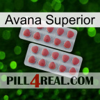 Top Avana 19
